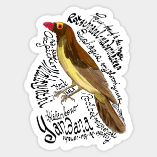 Red-billed Oxpecker; Rooibekrenostervoël; Tsande Sticker